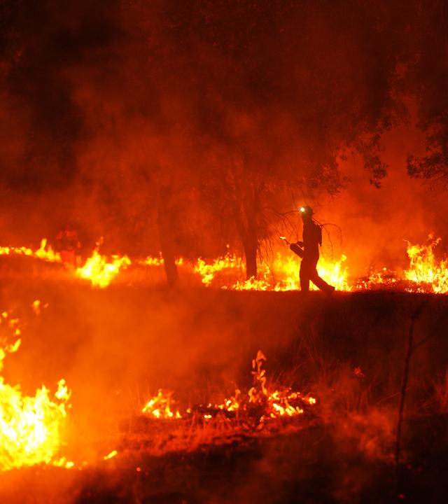 Feuerwehrleute setzen kontrollierte Brandlegung ein, um einen Waldbrand einzudämmen, der sich in der Nähe der spanischen Gemeinde Cerebros ausbreitet.