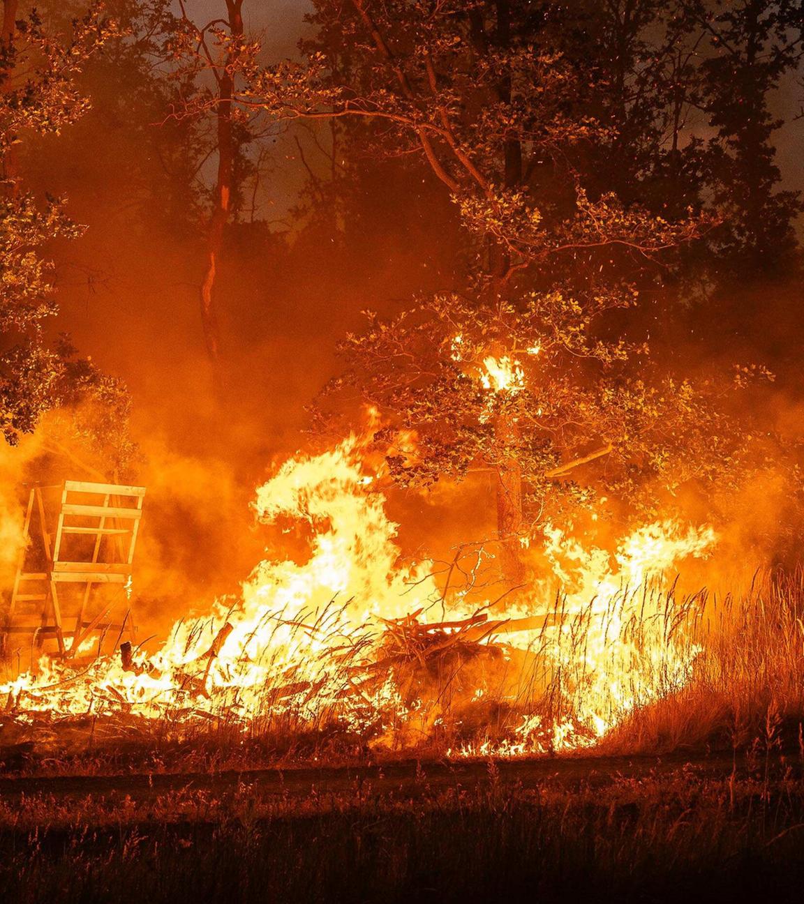 Waldbrand in Gohrischheide an der Landesgrenze zwischen Sachsen und Brandenburg.