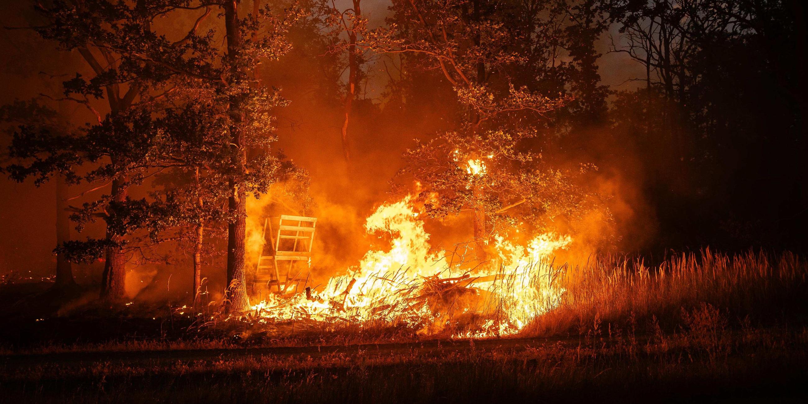 Waldbrand in Gohrischheide an der Landesgrenze zwischen Sachsen und Brandenburg.