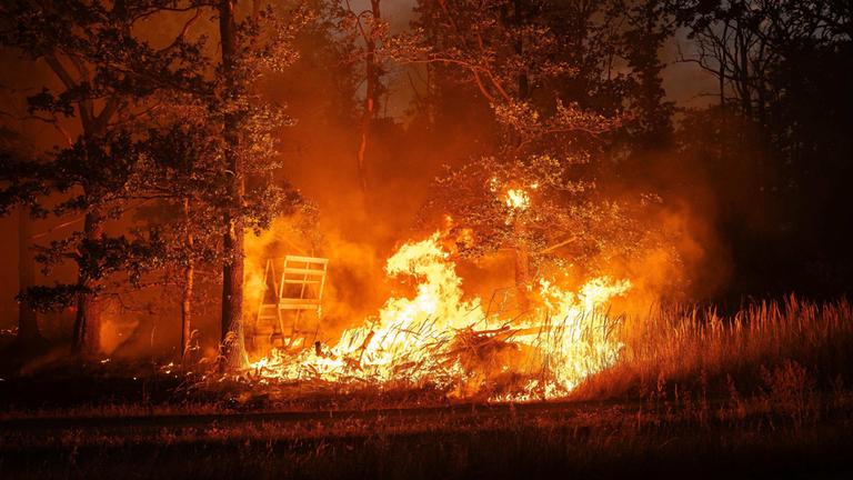 Waldbrand in Gohrischheide an der Landesgrenze zwischen Sachsen und Brandenburg.