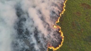 Ein Waldbrand aus der Vogelperspektive