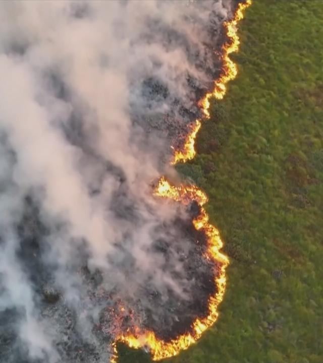 Ein Waldbrand aus der Vogelperspektive