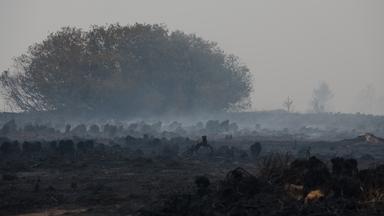 16.08.2026, Belgien, Waimes: Eine verkohlte Landschaft, aufgenommen während eines lodernden Feuers im Naturschutzgebiet Hohe Venn.
