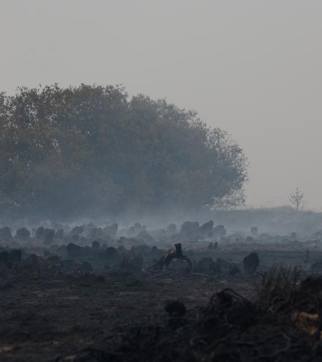 16.08.2026, Belgien, Waimes: Eine verkohlte Landschaft, aufgenommen während eines lodernden Feuers im Naturschutzgebiet Hohe Venn.