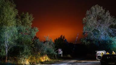 Rettungskräfte sind bei einem Waldbrand im Einsatz.