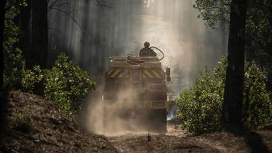 Ein Feuerwehrauto mit einem Feuerwehmann fährt durch den Wald- Im Hintergrund sind Rauchschwaden zu sehen.