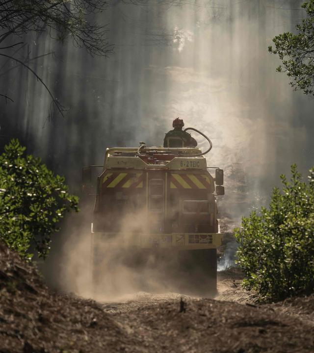 Ein Feuerwehrauto mit einem Feuerwehmann fährt durch den Wald- Im Hintergrund sind Rauchschwaden zu sehen.