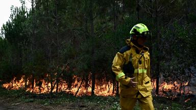 Waldbrand bei Bordeaux