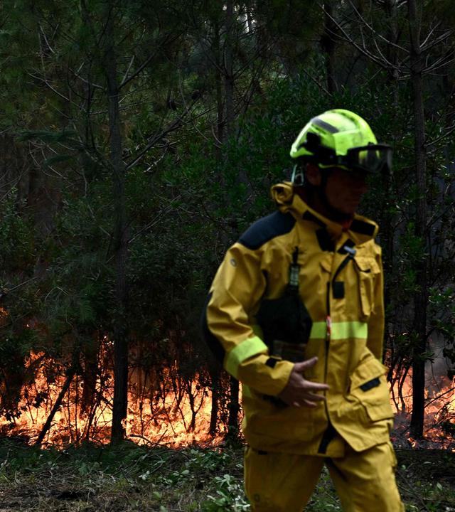 Waldbrand bei Bordeaux