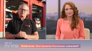 waldbrand-deutschland-nachholbedarf-