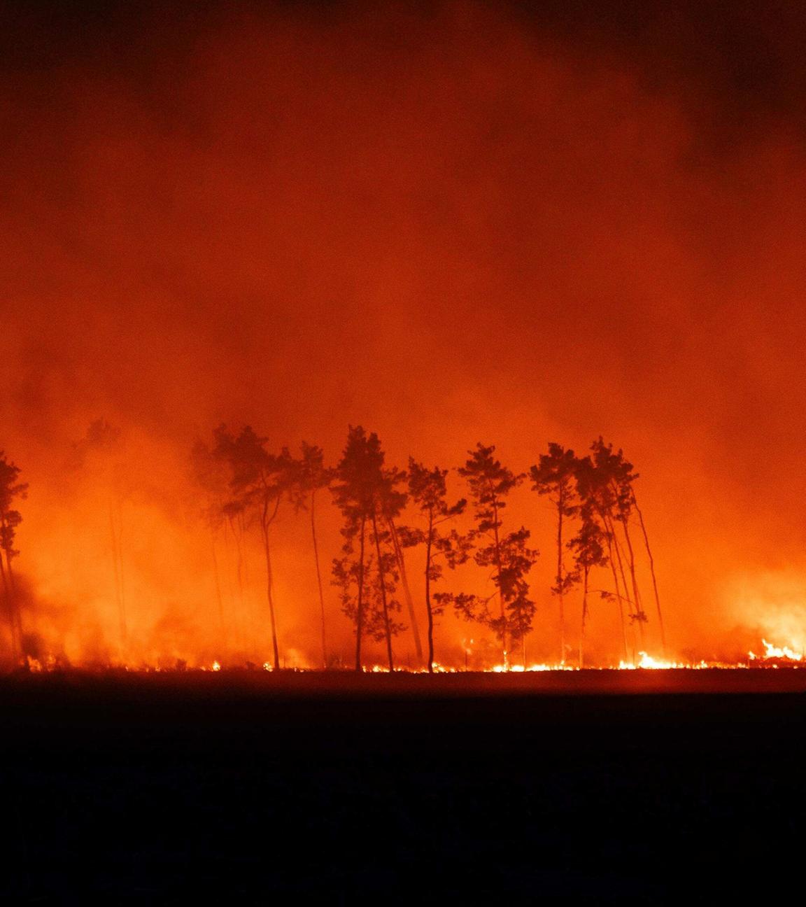 Feuerwehrkräfte sammeln sich zur Bekämpfung eines Brandes am Rand eines Getreidefeldes (Luftaufnahme mit Drohne), aufgenommen am 02.07.2025 in Brandenburg