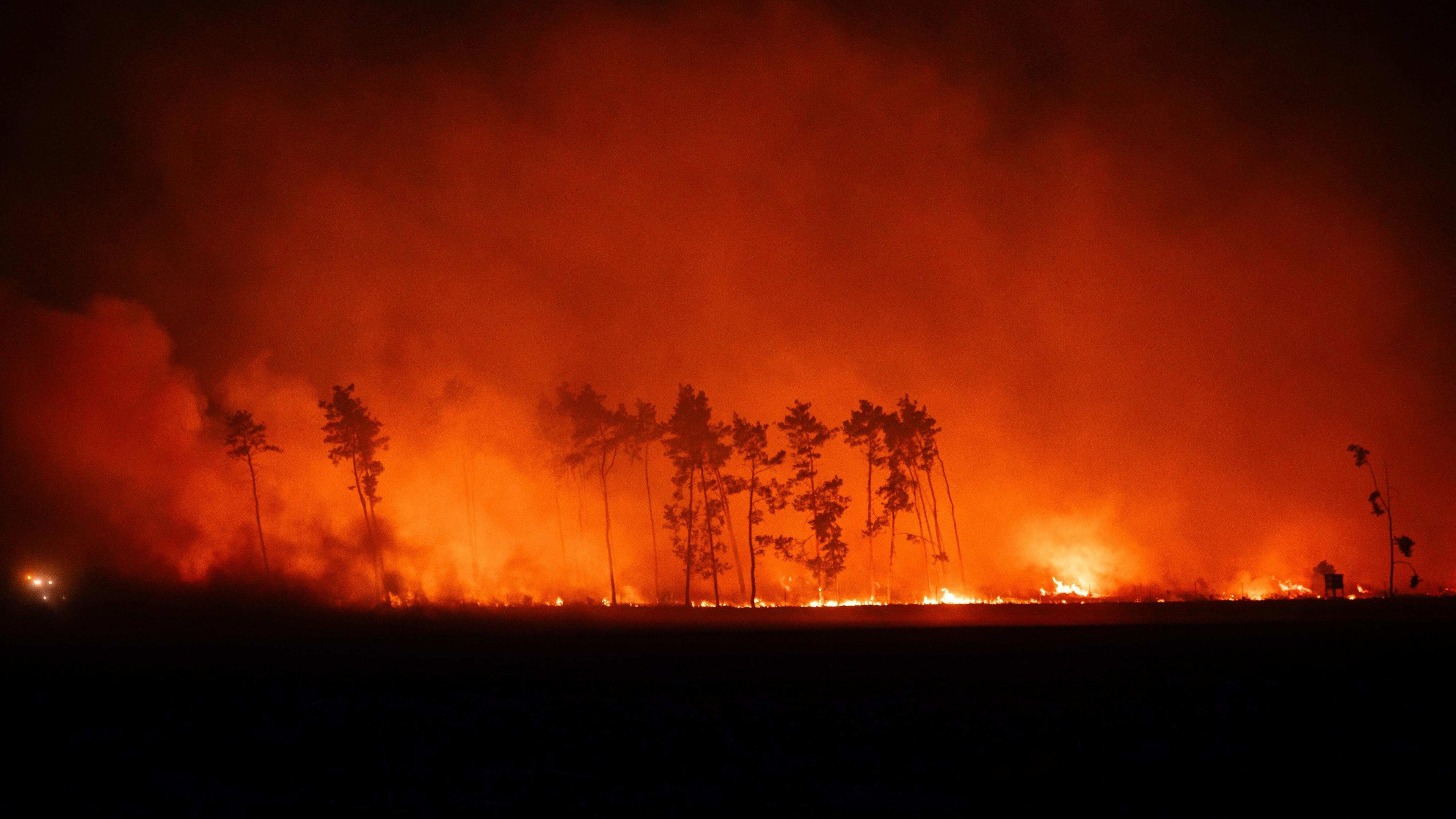 Feuerwehrkräfte sammeln sich zur Bekämpfung eines Brandes am Rand eines Getreidefeldes (Luftaufnahme mit Drohne), aufgenommen am 02.07.2025 in Brandenburg