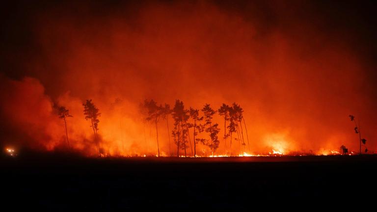 Feuerwehrkräfte sammeln sich zur Bekämpfung eines Brandes am Rand eines Getreidefeldes (Luftaufnahme mit Drohne), aufgenommen am 02.07.2025 in Brandenburg