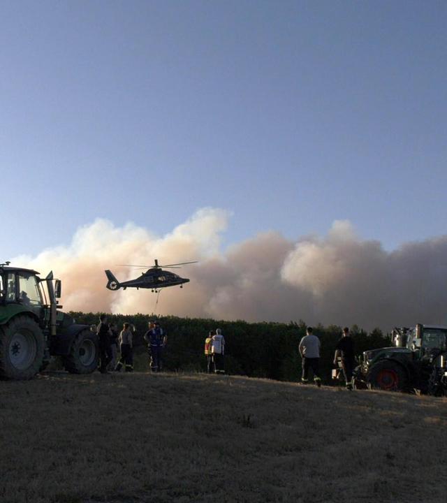 Großer Waldbrand bei Hürtgenwald
