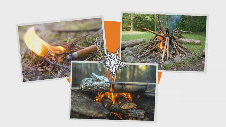 Waldbrände Erklärgrafik