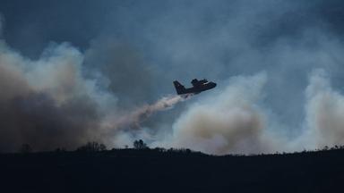 Ein Löschflugzeug ist bei einem Waldbrand in Ille-sur-Têt in Südfrankreich im Einsatz. 