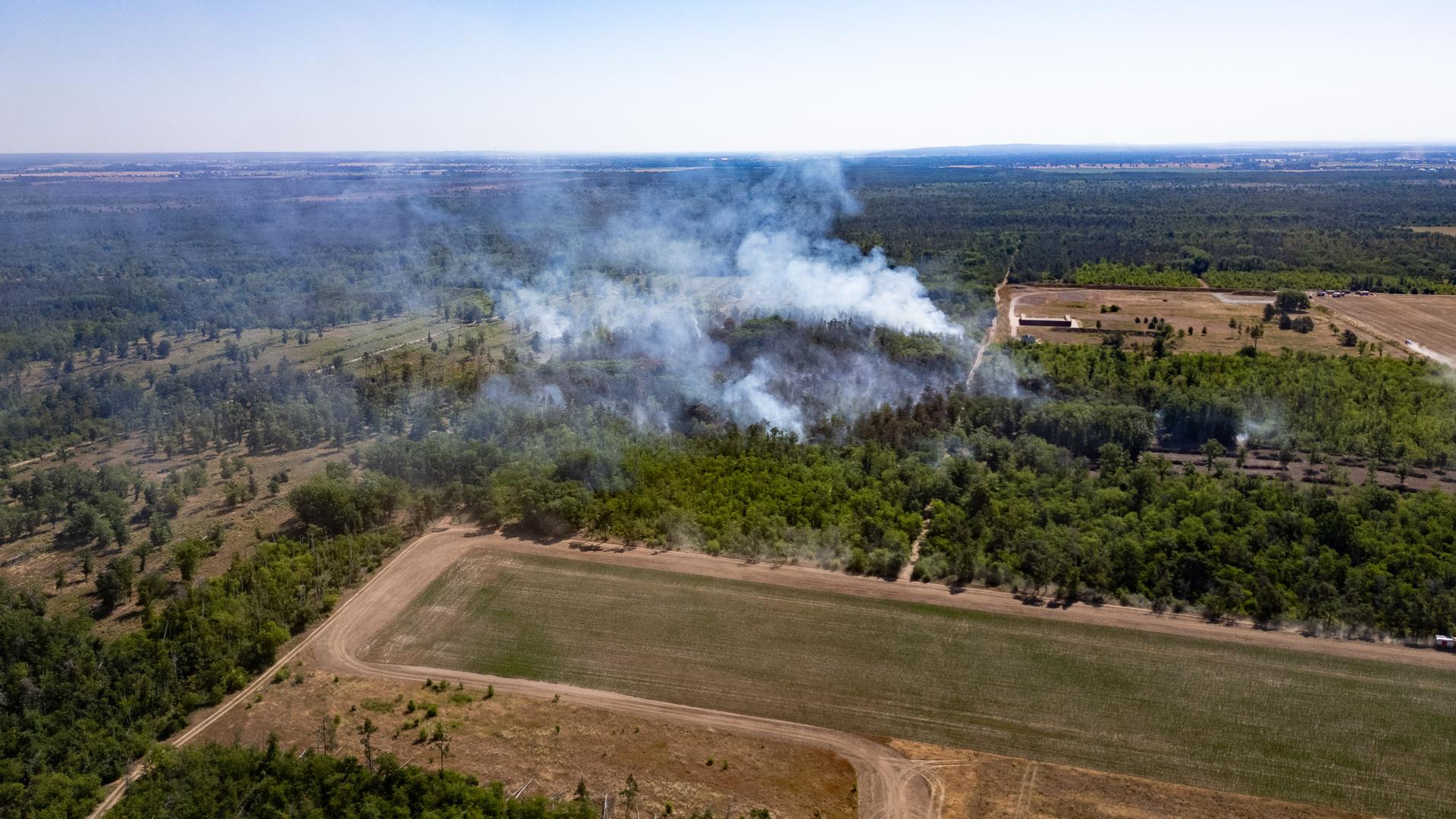 Rauch steigt in den Himmel auf bei einem Wald- und Vegetationsbrand in der Gohrischheide im Landkreis Meißen.