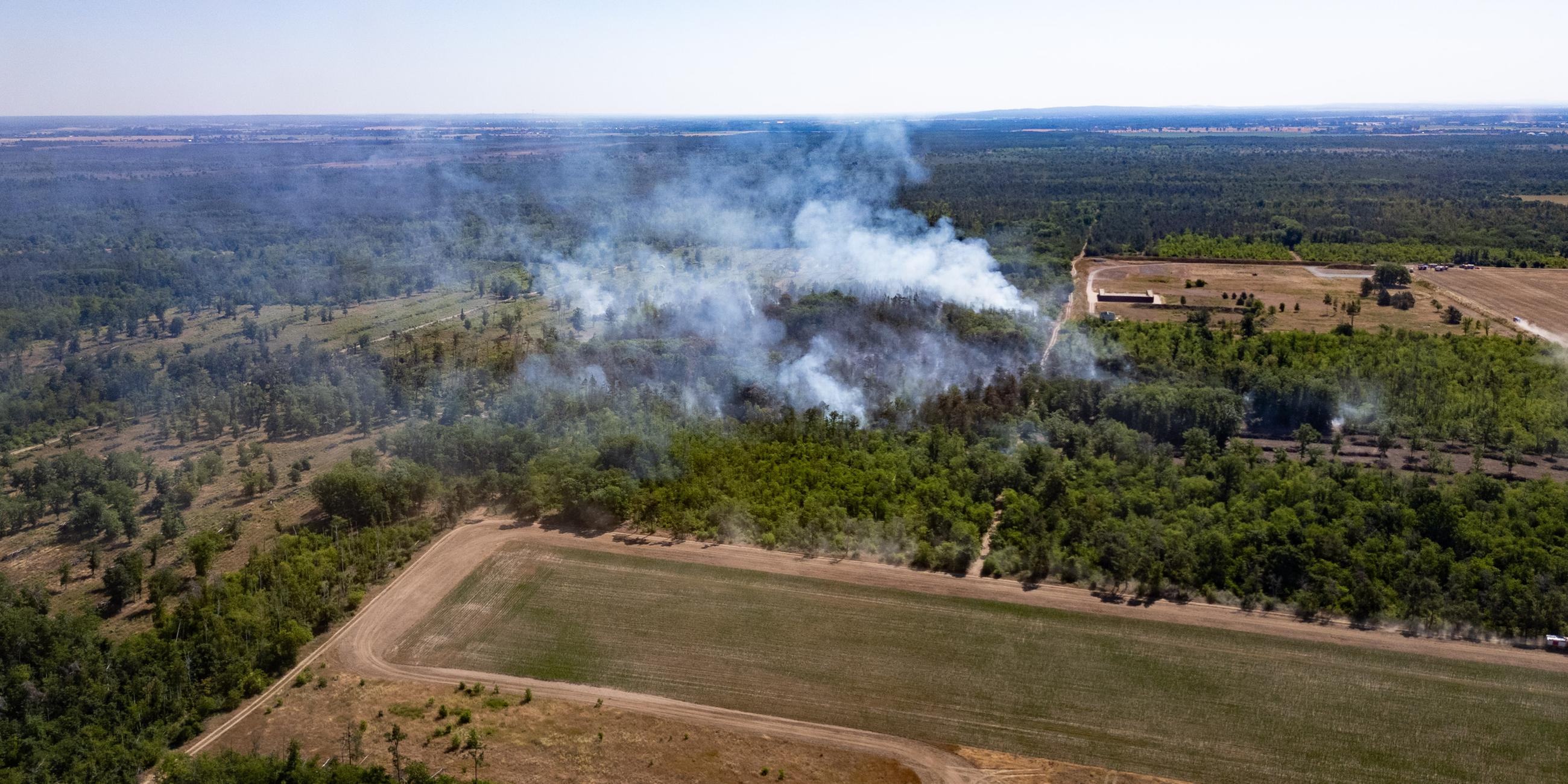 Rauch steigt in den Himmel auf bei einem Wald- und Vegetationsbrand in der Gohrischheide im Landkreis Meißen.