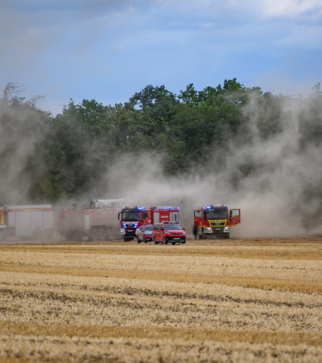 Sachsen, Zeithain: Feuerwehren stehen im Waldbrand in der Gohrischheide auf einem Feld. Archivbild
