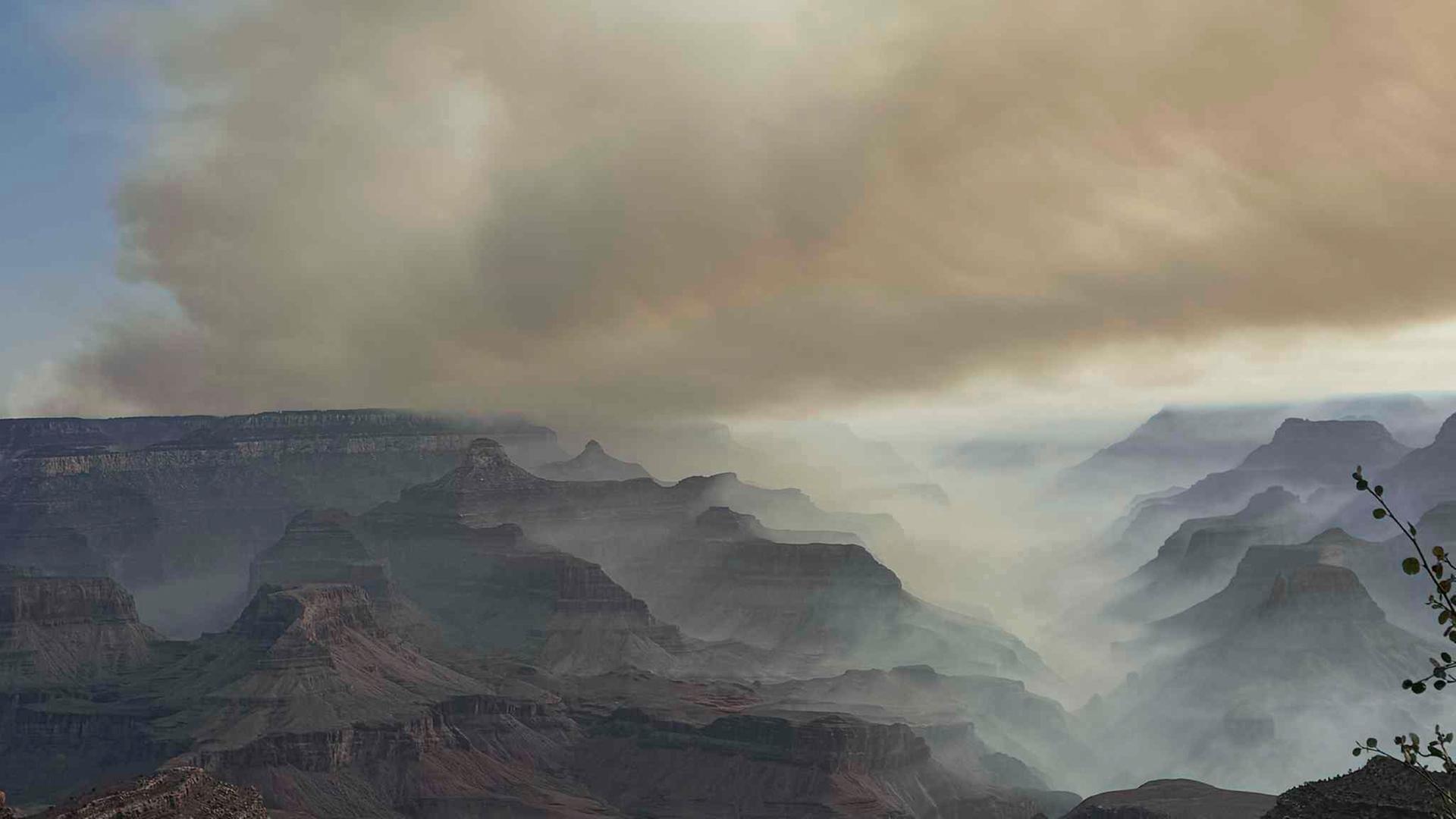 Feuer im Grand-Canyon-Nationalpark in Arizona