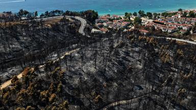 Studie: Waldbrände in Europa könnten sich fast verdreifachen