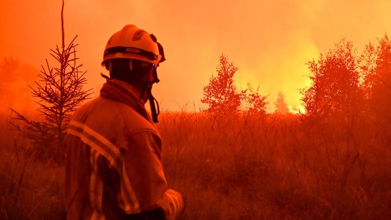 Feuerwehrleute löschen einen Großbrand im Hohen Venn in Belgien. 