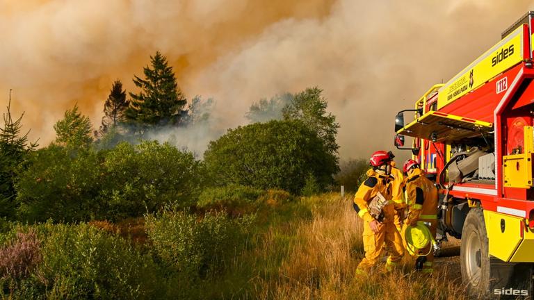 Feuerwehrleute löschen einen Großbrand im Hohen Venn in Belgien. 
