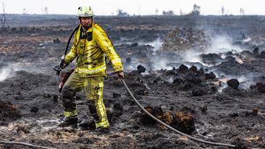 Ein Feuerwehrmann löscht Glutnester im schwelenden Boden in der Nähe des Signal de Botrange am Ort des Brandes im Naturschutzgebiet Hohes Venn.