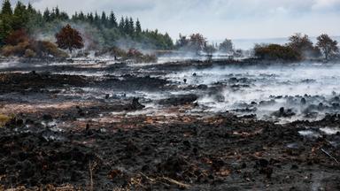 Rausch schwebt über der verbrannten Landschaft in der Nähe des Signal de Botrange am Ort des Brandes im Naturschutzgebiet Hohes Venn, aufgenommen am 18.08.2026