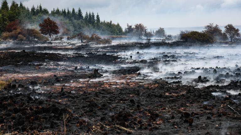 Rausch schwebt über der verbrannten Landschaft in der Nähe des Signal de Botrange am Ort des Brandes im Naturschutzgebiet Hohes Venn, aufgenommen am 18.08.2026