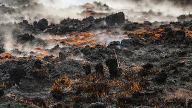Rausch schwebt über der verbrannten Landschaft in der Nähe des Signal de Botrange am Ort des Brandes im Naturschutzgebiet Hohes Venn, aufgenommen am 18.08.2026