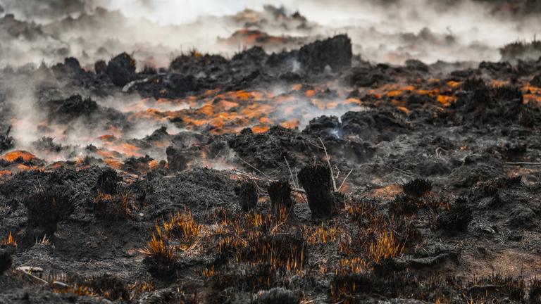 Rausch schwebt über der verbrannten Landschaft in der Nähe des Signal de Botrange am Ort des Brandes im Naturschutzgebiet Hohes Venn, aufgenommen am 18.08.2026