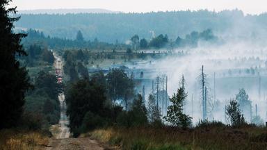 Rausch schwebt über der verbrannten Landschaft in der Nähe des Signal de Botrange am Ort des Brandes im Naturschutzgebiet Hohes Venn, aufgenommen am 18.08.2026