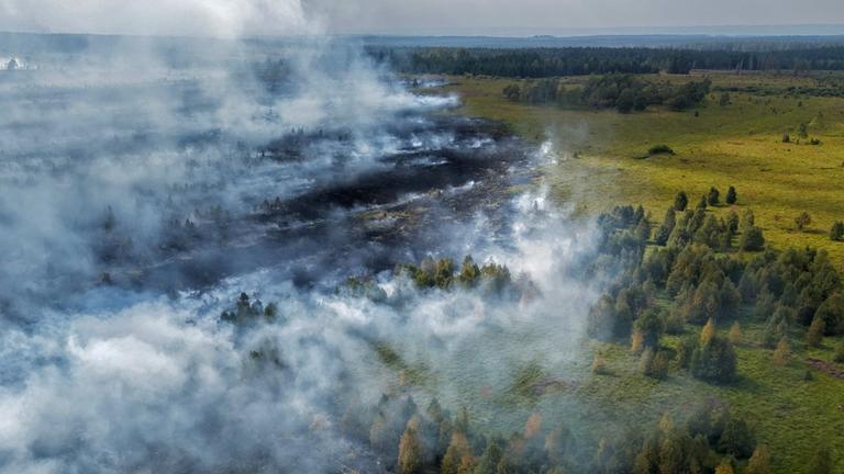 Rauchschwaden ziehen über den großen Waldbrand im Hohen Venn hinweg. (Luftaufnahme mit einer Drohne)