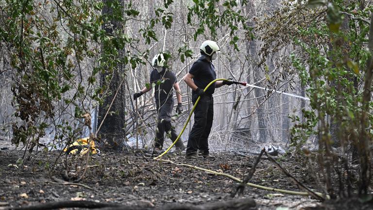 Die Feuerwehr ist beim Waldbrand im Hürtgenwald im Einsatz.