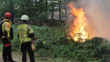 Einsatzkräfte von @fire (l), die sich auf die Bekämpfung von Wald- und Vegetationsbrände spezialisiert haben, und der Feuerwehr Leverkusen sind beim Waldbrand im Hürtgenwald im Einsatz. 
