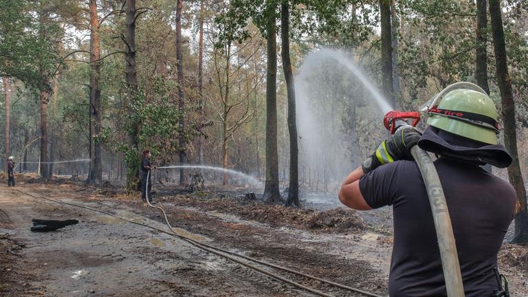 Löscharbeiten der Feuerwehr im Hürtgenwald im Kreis Düren.