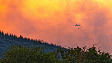 Ein Hubschrauber mit einem Wassersack fliegt über dem Waldbrandgebiet im Hürtgenwald.