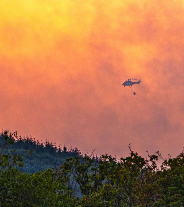 Ein Hubschrauber mit einem Wassersack fliegt über dem Waldbrandgebiet im Hürtgenwald.