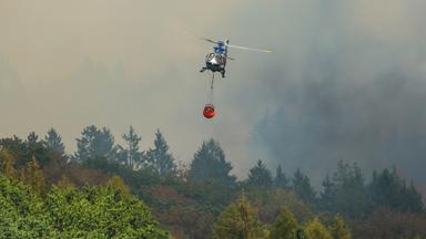 Ein Helikopter fliegt mit Löschwasser über den Waldbrand in der Gemeinde Hürtgenwald. 