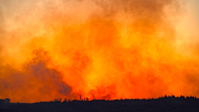Waldbrand Deutschland NRW