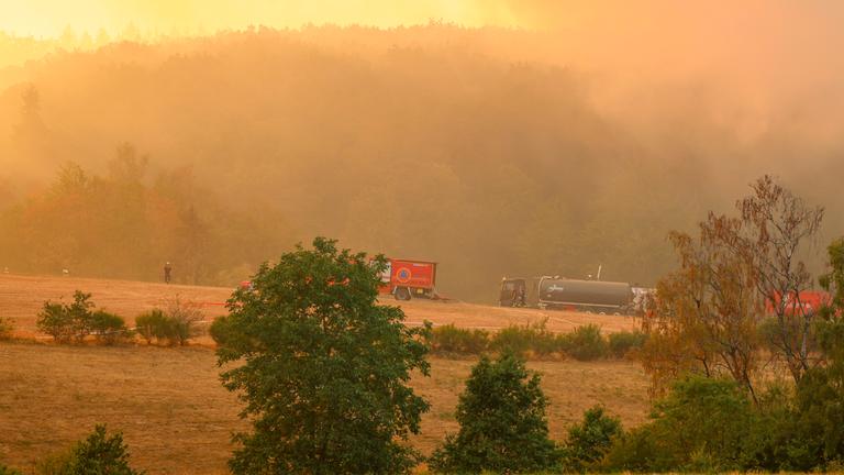 Waldbrand im Hürtgenwald