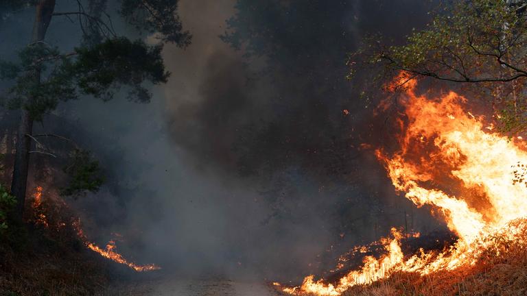 Flammen sind am Rand eines Waldwegs im Hürtgenwald zu sehen. 