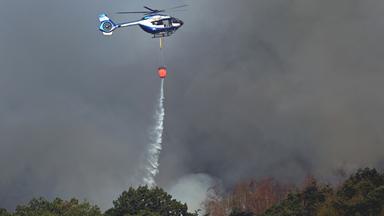 Flammen bedrohen Hürtgenwald - die aktuelle Lage im Blog