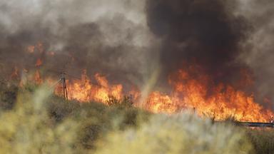 Feuerwände und dichter Rauch fegen während eines Waldbrands in Los Gallardos in der Provinz Almería im Süden Spaniens durch die trockene Vegetation