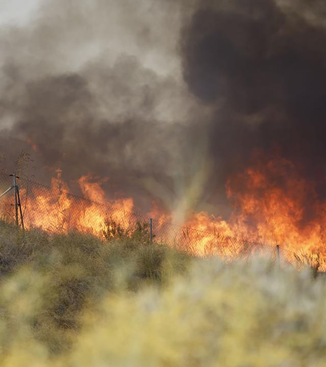 Feuerwände und dichter Rauch fegen während eines Waldbrands in Los Gallardos in der Provinz Almería im Süden Spaniens durch die trockene Vegetation