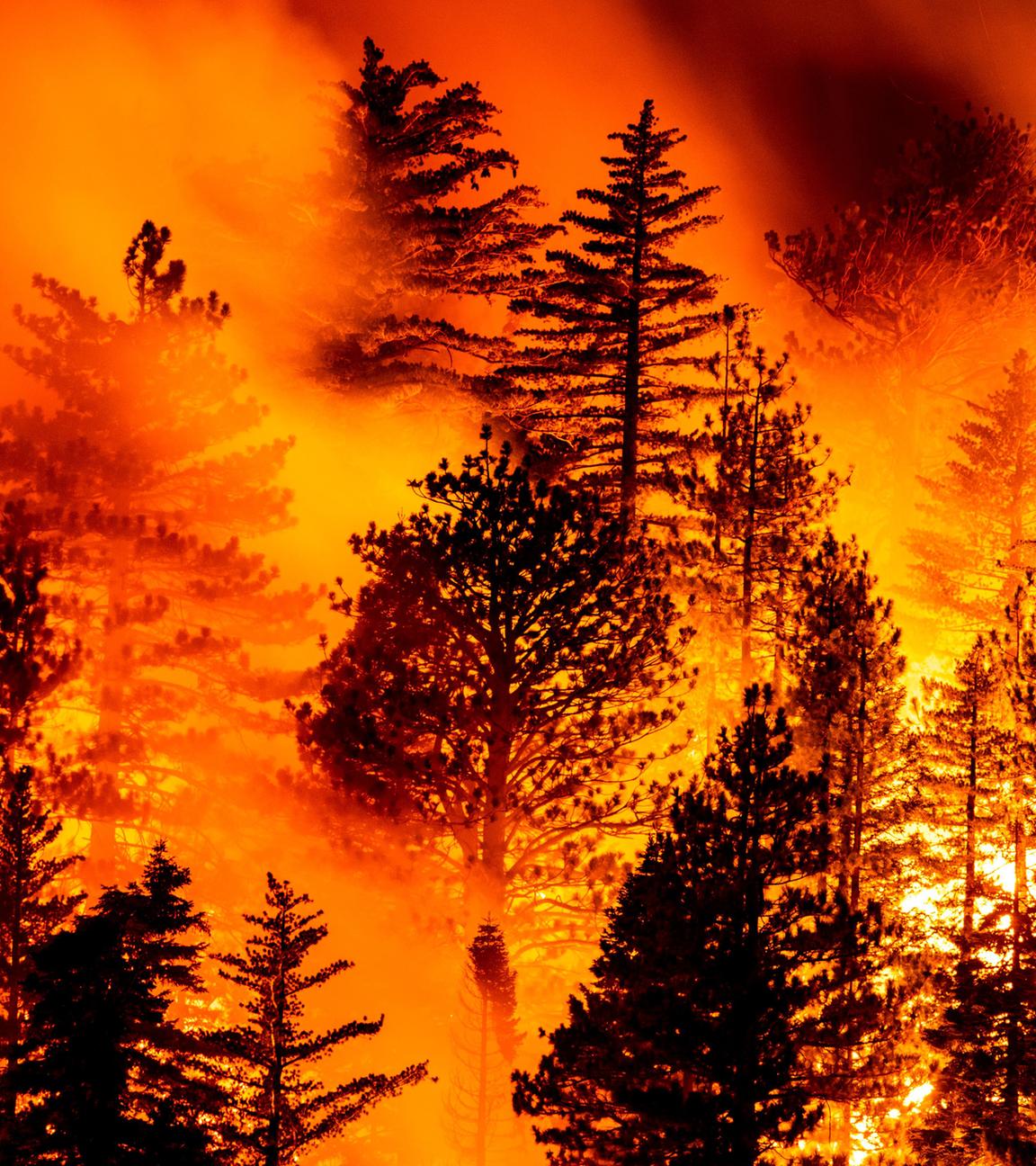 Archiv: Waldbrand in den USA, am 11.09.2020