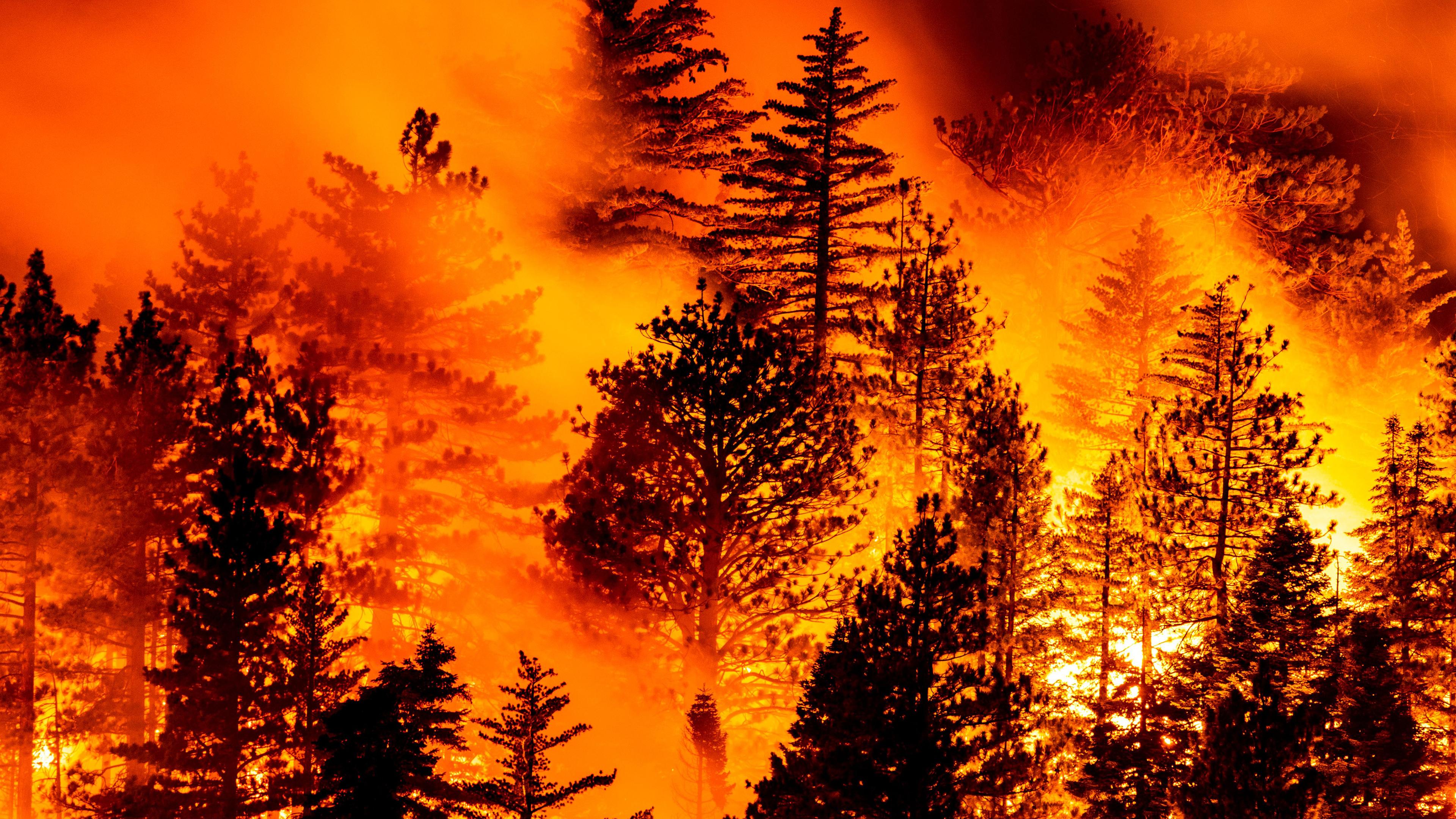 Archiv: Waldbrand in den USA, am 11.09.2020