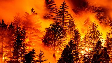 US-Behörde kippt Grundlage für Klimaschutz