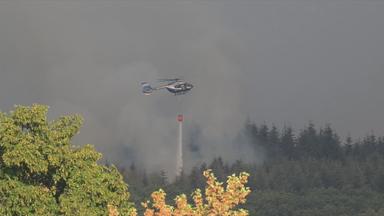 Waldbrand in der Eifel